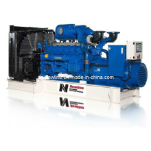 Perkins Serie Diesel Generator Set (NPP275)